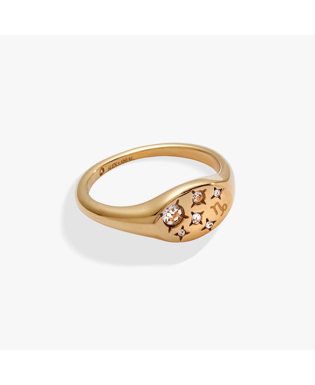 Zodiac Ring Capricorn