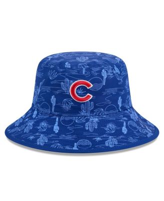 Мужская кепка-панама с принтом Royal Chicago Cubs 2025 для весенних тренировок от New Era для мужчин