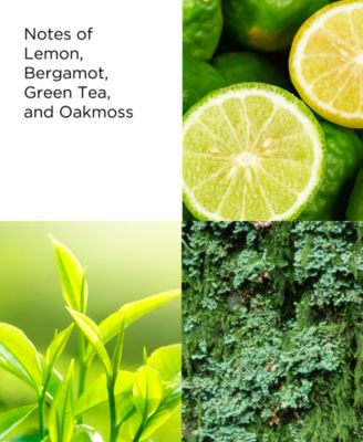 Green Tea Scent Spray, 3.3 oz.