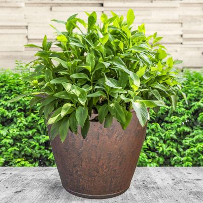 Indoor/Outdoor Patio, Garden, or Porch Weather-Resistant Double-Walled Anjelica Flower Pot Planter - 24"