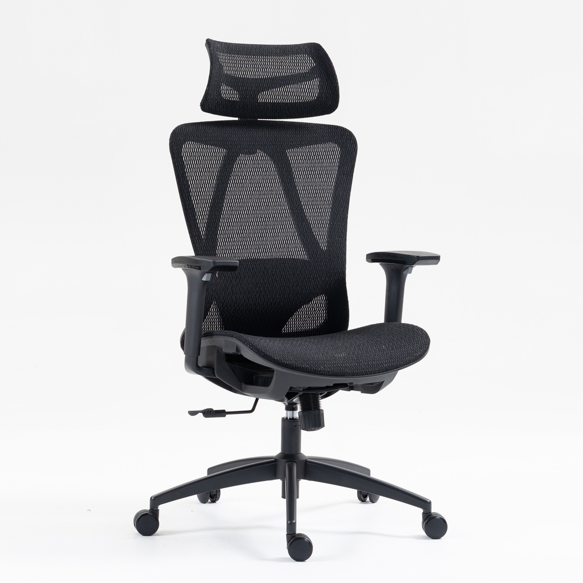 Boyel Living Ergonomic Mesh Office Chair, High Back Desk Chair with 3D Armrests, Up&Down Lumbar Support, Swivel Computer Task Chair
