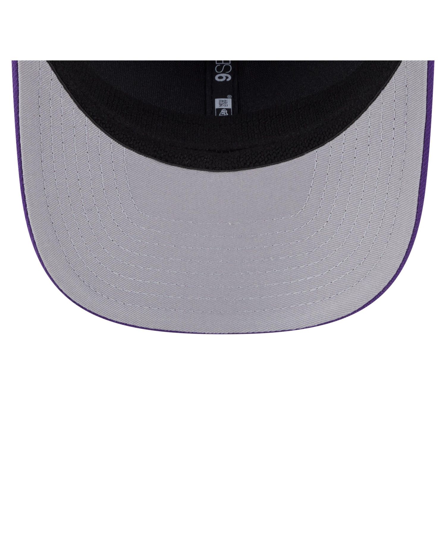 Men's Purple Minnesota Vikings Main Trucker 9SEVENTY Stretch Snap Hat