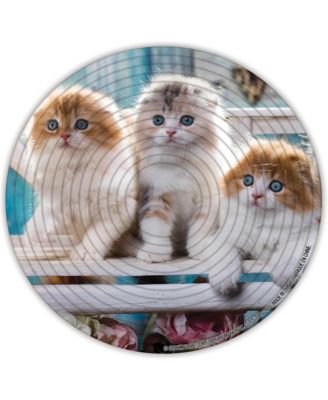 Spin Flip Puzzle: Puppies & Kittens 2L