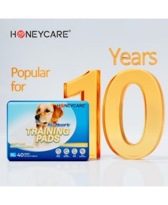 All-Absorb, X-Large  Dog and Puppy Training Pads, Ultra Absorbent and Odor Eliminating, Leak-Proof 5-Layer Potty Training Pads with Quick-Dry Surface, Blue 28" x 34 inch 80t