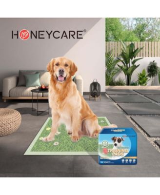 Dog Training Pads with Printed Grass & Fire Hydrant, Odor Eliminating Puppy Pads Premium Dog Pads 22x23 inch, 200ct