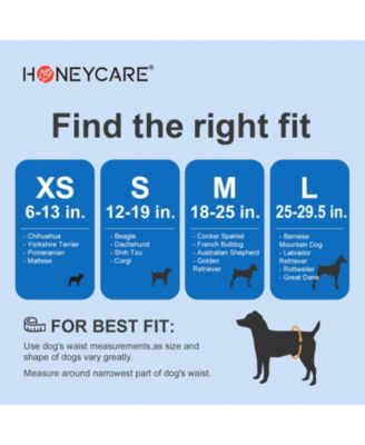 Paw & Dog Bone Print All-Absorb A25 Male Dog Wrap, Medium, 100ct