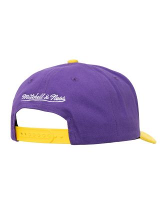 Мужская регулируемая кепка Mitchell & Ness фиолетово-золотистого цвета Los Angeles Lakers May Flowers