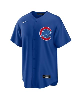 Мужская футболка Nike Shota Imanaga Royal Chicago Cubs с альтернативными японскими героями и репликами.