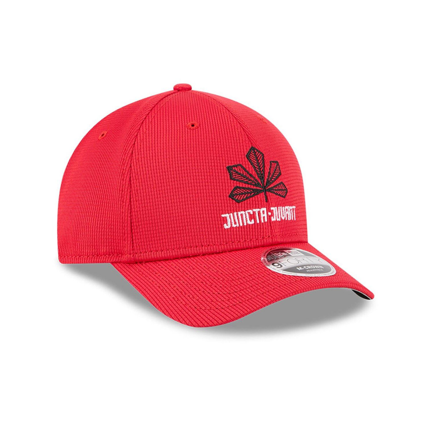 Men's Red Cincinnati Reds City Connect Batting Practice 9FORTY M-Crown Adjustable Hat