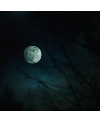 16-300mm f/3.5-6.7 DC OS Contemporary Lens for L Mount, Black