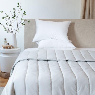 2 Pack Firm Down Alternative Bed Pillow - Standard/Queen