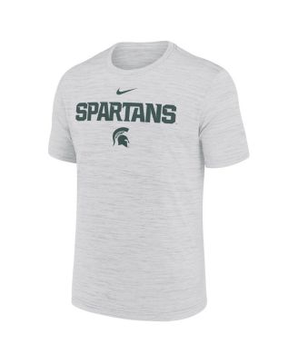 Мужская футболка Nike Ash Michigan State Spartans 2025 Sideline Velocity Performance от Nike