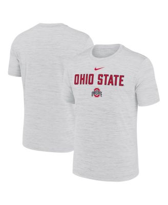 Nike - Men's Ash Ohio State Buckeyes 2025 Sideline Velocity Performance T-Shirt