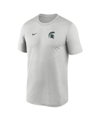 Мужская серая футболка Nike Michigan State Spartans 2025 с небольшим логотипом Legend Performance от Nike