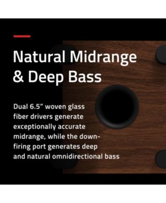 Ai81 Powered Floorstanding Speakers (Bamboo), DB10 10" Powered Subwoofer (Black), 15ft RCA Subwoofer Cable