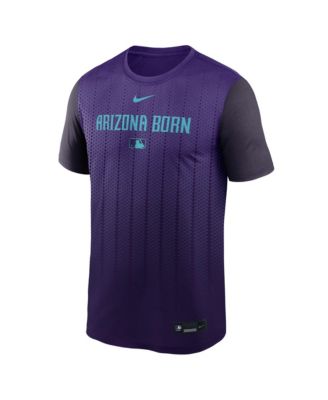 Мужская фиолетовая футболка Arizona Diamondbacks 2025 City Connect Authentic из коллекции Velocity Performance от Nike.