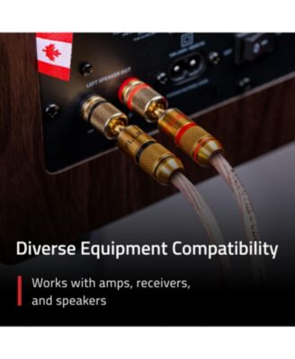 Banana Plug 24K Gold-plated connectors 16 to 12 AWG speaker wire for Hi-Fi setup Home Theater and Amplifiers