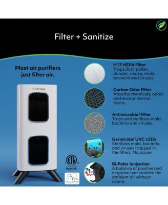 iAdaptAir 2.0 Medium – 2,650 Sq Ft Coverage, 5-in-1 Purification, With 353 CFM