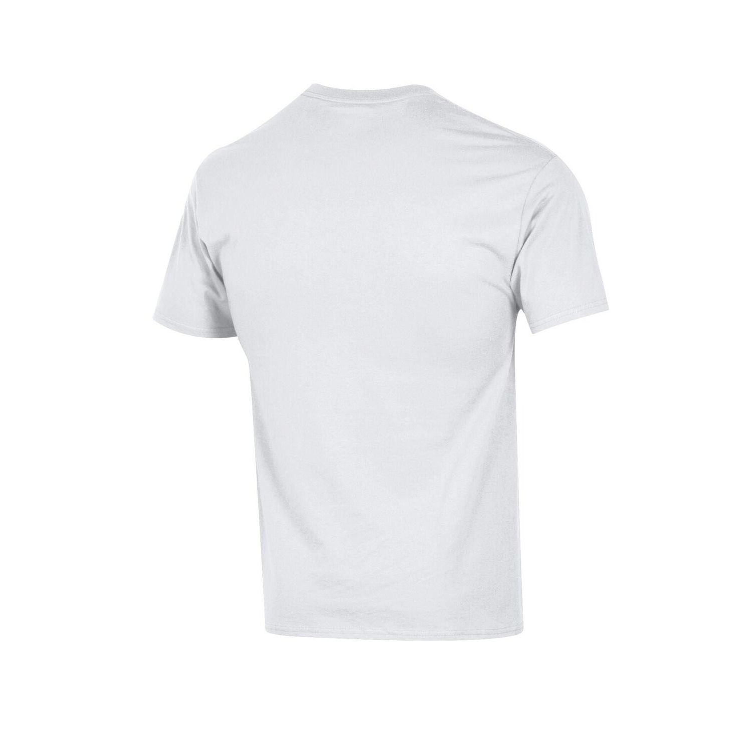 Men's Orange Miami Hurricanes Arched Logo T-Shirt