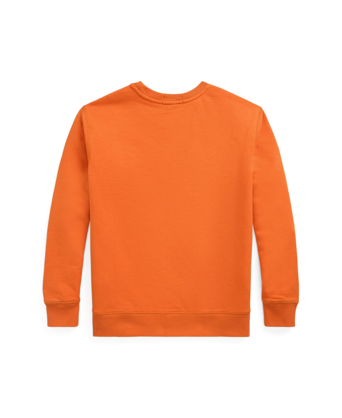 Polo Ralph Lauren Toddler And Little Boys French Terry Sweatshirt