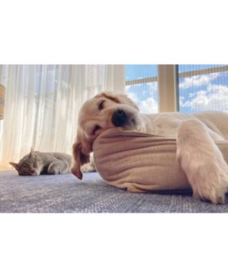 UBACALM Calming Soft Chews for Dogs & Cats – Natural Stress & Anxiety Relief (48 ct)