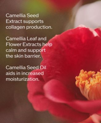 Ultimune Power Infusing Serum, 1 oz, First at Macy's