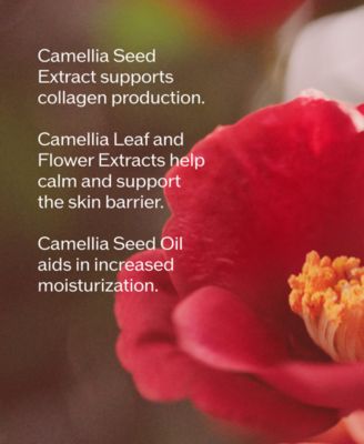 Ultimune Power Infusing Serum Refill, 2.5 oz, First at Macy's