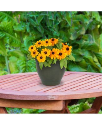 Studio Outdoor/Indoor High-Fired Glazed UV- and Frost-Resistant Ceramic Planters with Drainage Holes