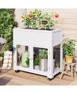 Mini Wood Frame Greenhouse