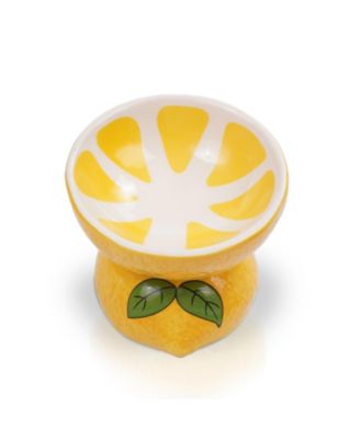 Lemon Shaped Stoneware Elevated Pet Bowl, Raised Ceramic Food & Water Dish for Dogs and Cats