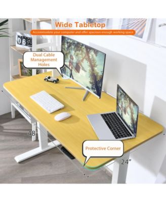 48-Inch Electric Standing Adjustable Desk with Control Panel and USB Port