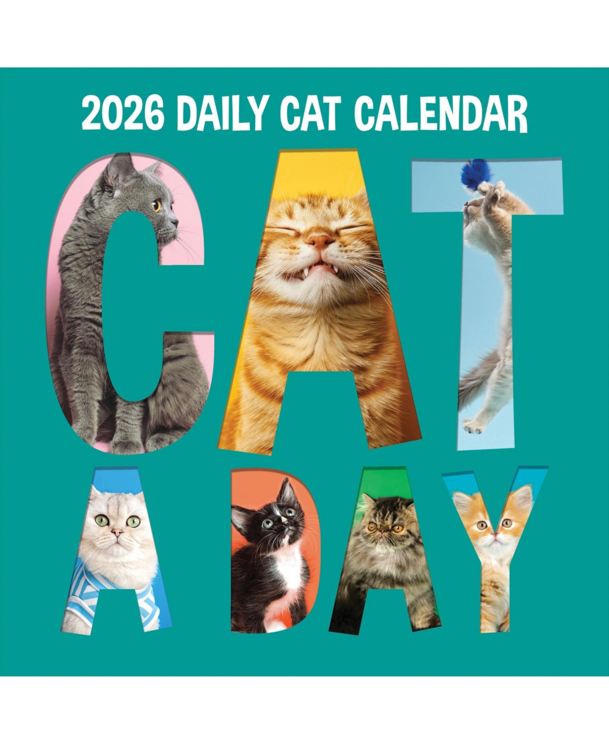 2026 Cat-a-Day Wall Calendar - Multicolor