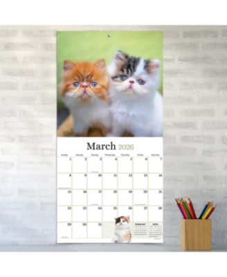 2026 Kittens Wall Calendar