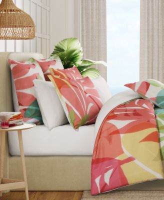 Bold Tiki Sham, European