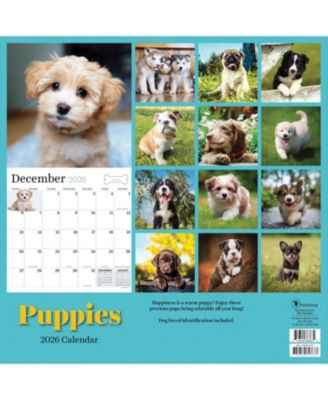 2026 Puppies Wall Calendar