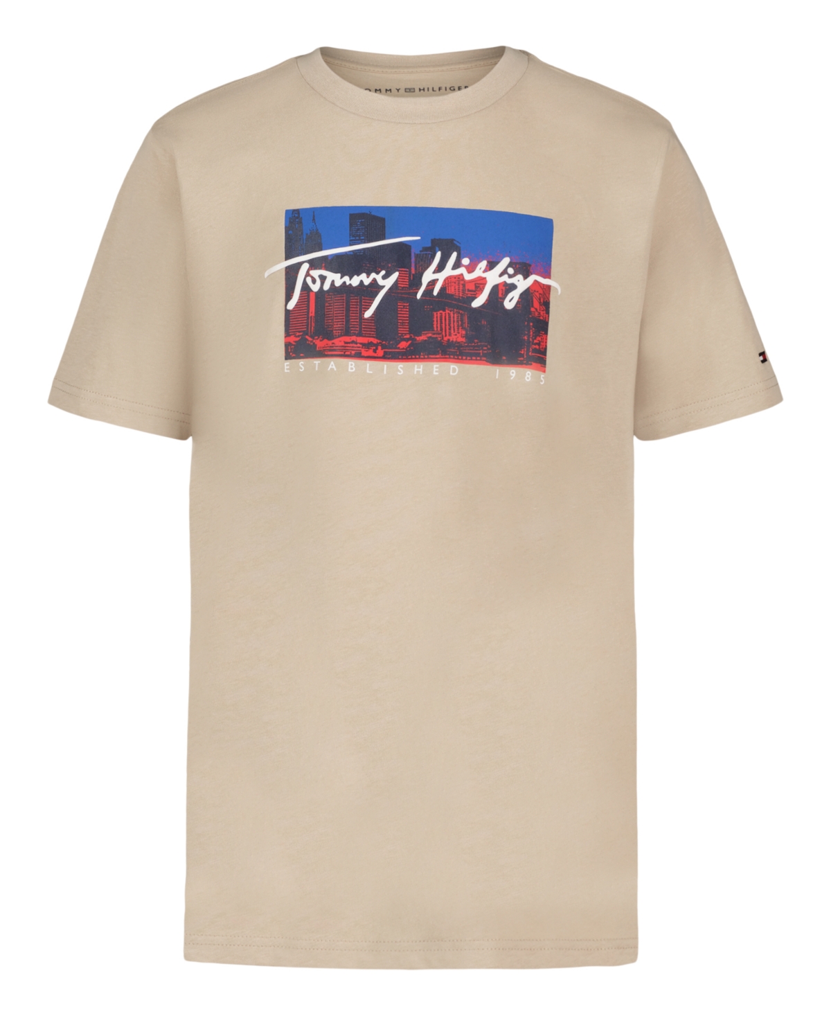 Tommy Hilfiger Big Boys Tommy Skyline Short Sleeve T-shirt In Brown