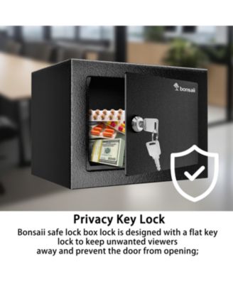 Steel Safe Box with Key Lock, 0.23 Cu Ft Security Lock Box &amp;#x2013; Small Hidden Safe for Cash and Jewelry