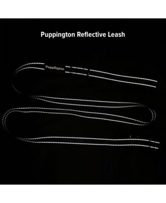 3-in-1 Dog Walk Bag, Travel Bowl, & Reflective Leash with Matching Planet-Safe Dog Poop Bags