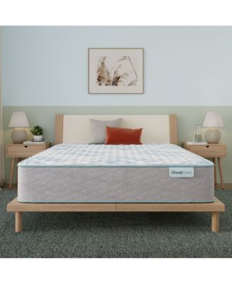 Beautyrest Beautysleep Bashful Lullaby 12.5