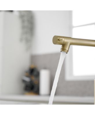 Contemporary Single Handle Pull-Down Spring Faucet with Sprayer and Deck Plate Commercial Kitchen Faucet