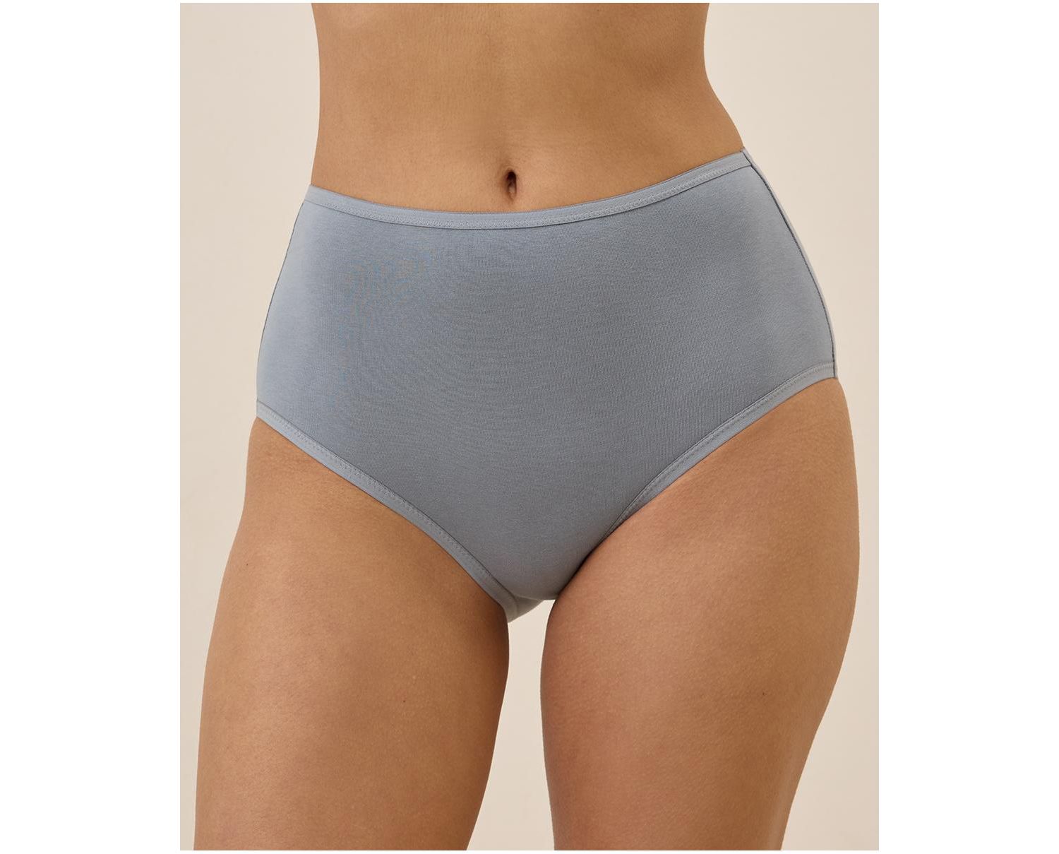 Women's Organic Cotton Everyday High Rise Brief 6-Pack