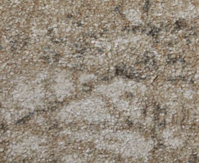 Skyview 39QAF 7'10"x10' Area Rug