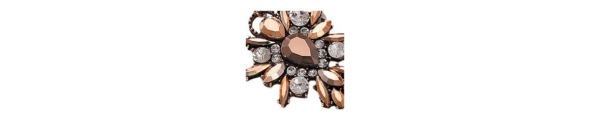 Sohi Party Stone Drop Earrings