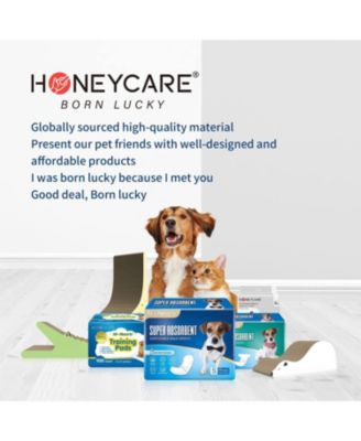 All-Absorb, Large  Dog and Puppy Training Pads, Ultra Absorbent and Odor Eliminating, Leak-Proof 5-Layer Potty Training Pads with Quick-Dry Surface, Blue 22" x 23 inch, 100ct