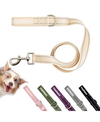 Reflective Leash