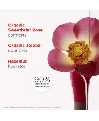 Limited Edition Lip Comfort Oil Canyon Kiss Collection