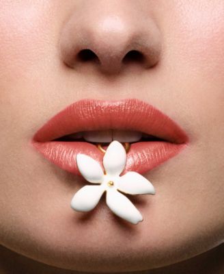 Fabulous Kiss Sheer Lipstick Refill