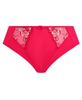 Plus Size Teagan High Leg Brief Underwear