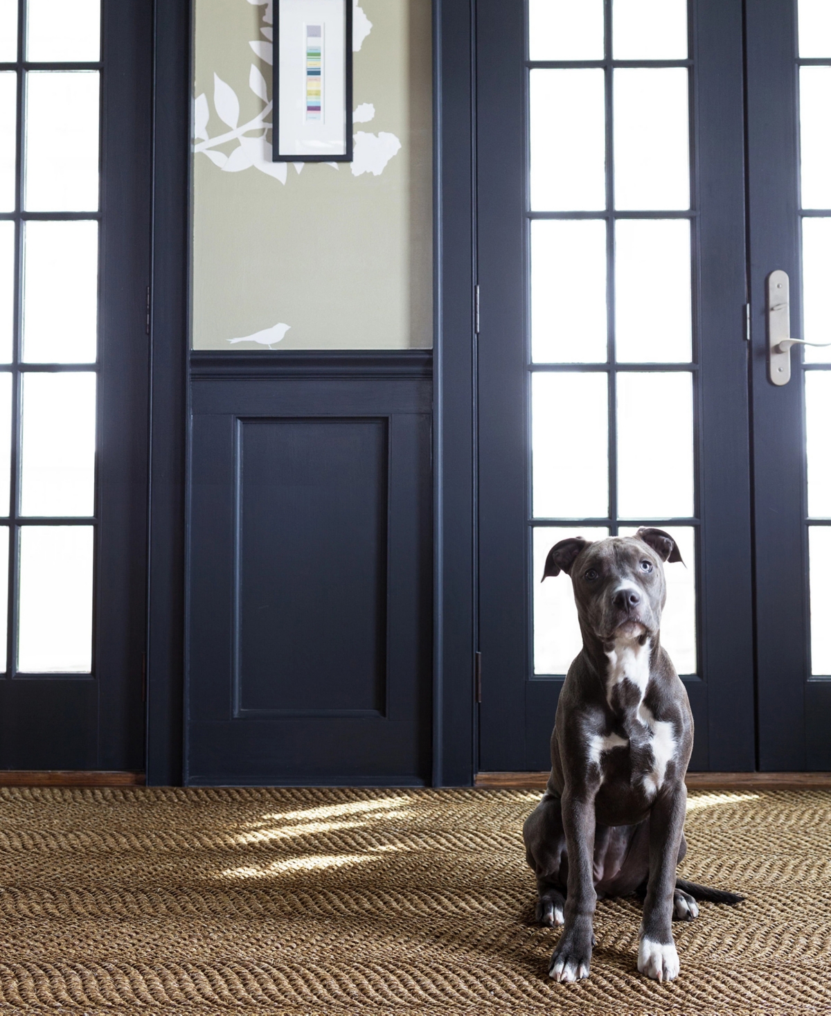 Dash And Albert Rugs By Annie Selke Wave Rda433 2'x3' Area Rug In Brown