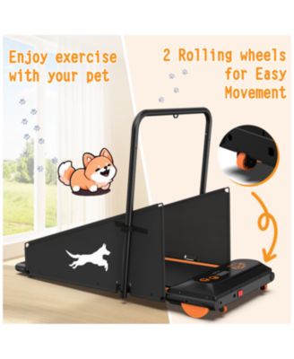 Dog Treadmill - Small & Medium Dogs - Run & Walk